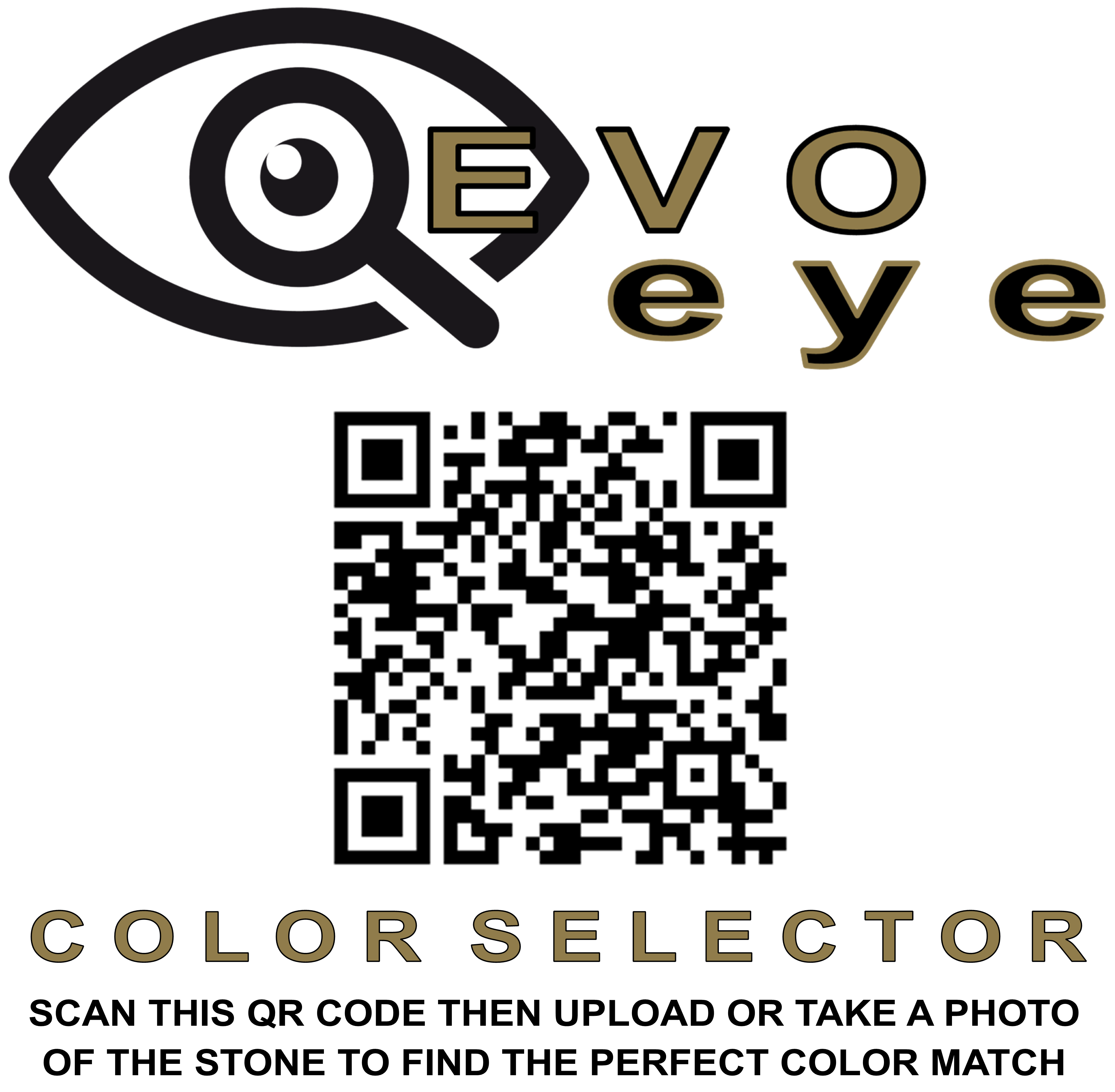 EVO-eye QR code for website